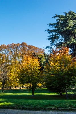 Image - 2199e65a-c402-4684-8aa7-6bd64da226d4