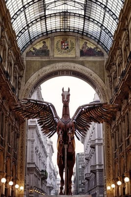 Image - a9276492-152b-4433-87d7-db3b86381063